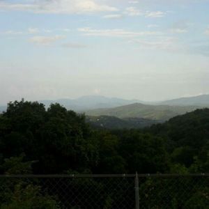 Meet your Posher, Tami